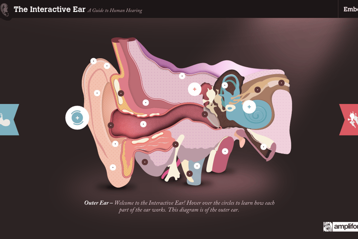 The Interactive Ear